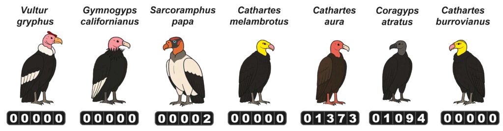 contador buitres_7mar26